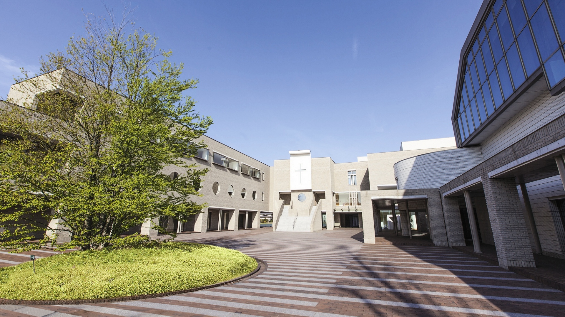 帰国子女向けオンライン学校説明会 パンダトラベルエージェンシー Panda Travel Agency Limited